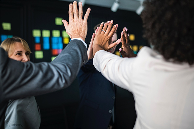 STN consulting - Política de calidad